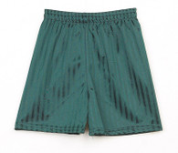 Shadow Stripe Shorts
