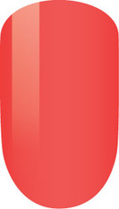 LeChat Perfect Match - Jack Rose (PMS11)