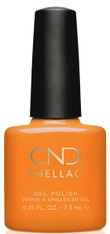 CND Shellac - Gypsy