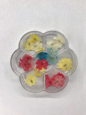 Dried Flowers in Container A