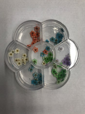 Dried Flowers in Container B