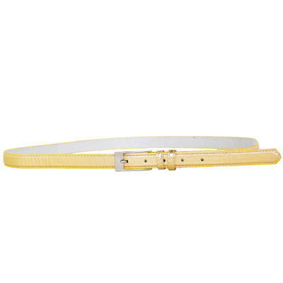 Gold Skinny Belt with Rectangle Buckle 2784-2787
