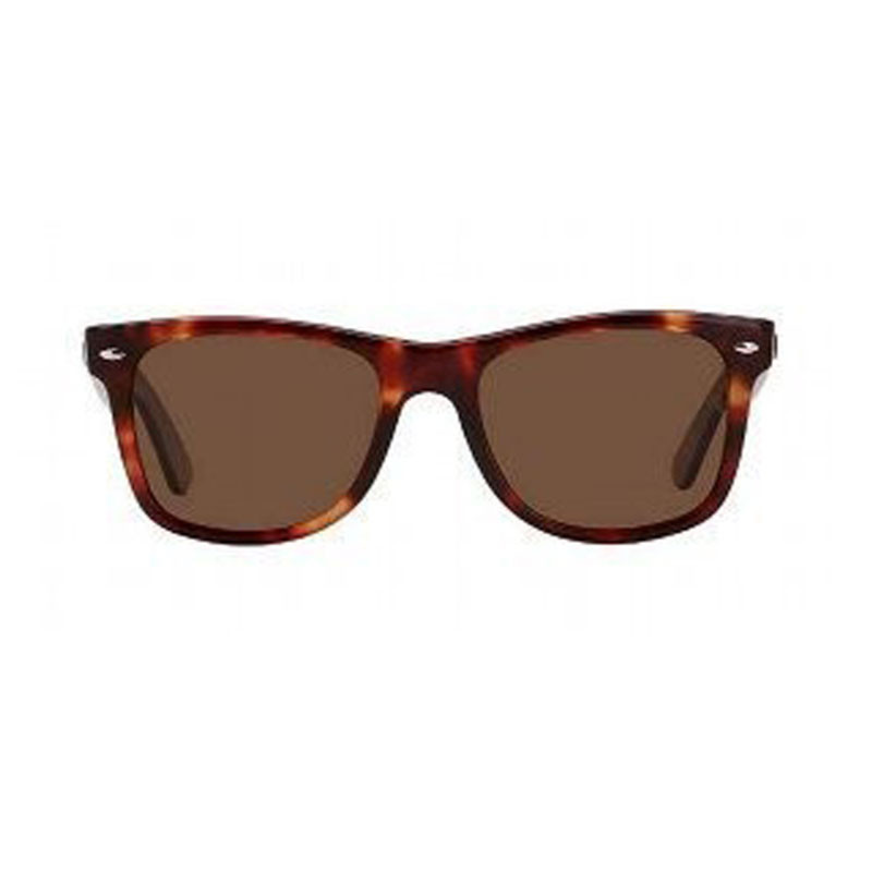 Brown Sunglasses Wayfarer Adult Size Tortiose Brown 1060 - Private ...