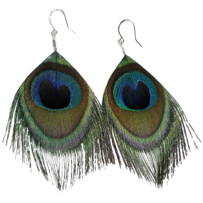 Peacock Feather Earrings 6535