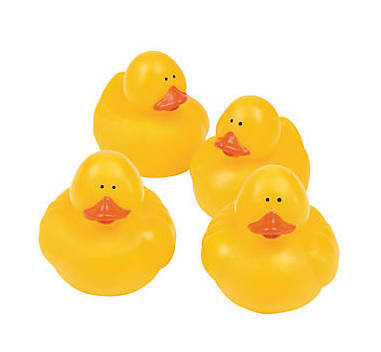 rubber ducks in bulk