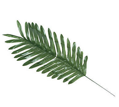 Cheap Palm Leaves Luau Decorations Tropical Party Decorations