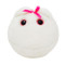 Egg Cell Plush Toy