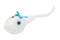 Sperm Toy