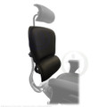 Raynor Ergohuman Chair Replacement Leather Back for LE9ERG and LE10ERGLO