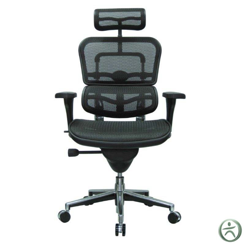 ergohuman full mesh chair