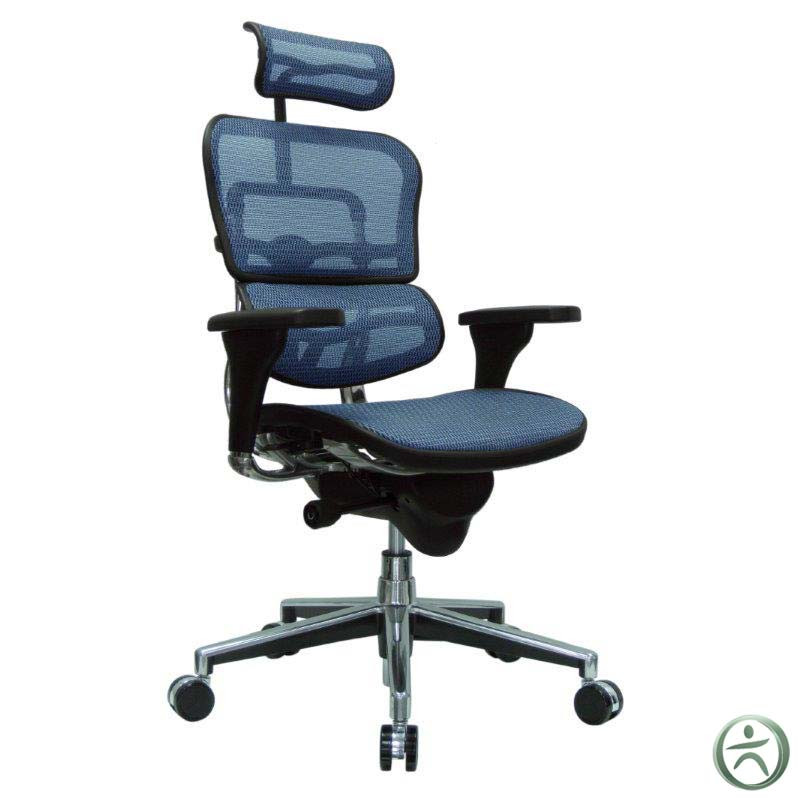 raynor ergohuman mesh office chair with adjustable headrest