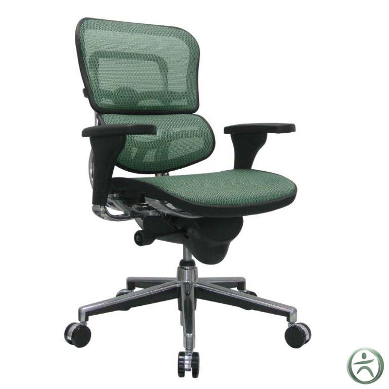 raynor ergohuman mesh chair me8erglo