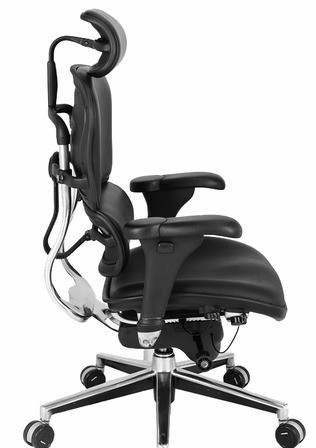 ergohuman le9erg office chair