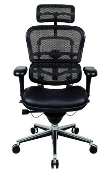 Raynor Ergohuman Chair Leather Seat Lem4erg