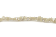 Mother Of Pearl White Bead Chips 16" - by the strand(24327)