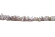 Blue Lace Agate Bead Chips 16" - by the strand(3159)