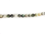 Burmese Jade 14mm Round Beads - by the strand(57721)