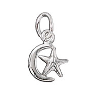 Charm Moon and Star 8x10mm Sterling Silver - each(59626)