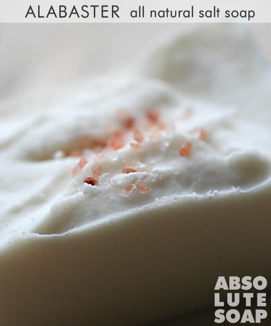 Alabaster All Natural Sea Salt Soap Closeup