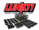 LS1- LS2  Lunati double spring and retainer kit, collets,seals and shims