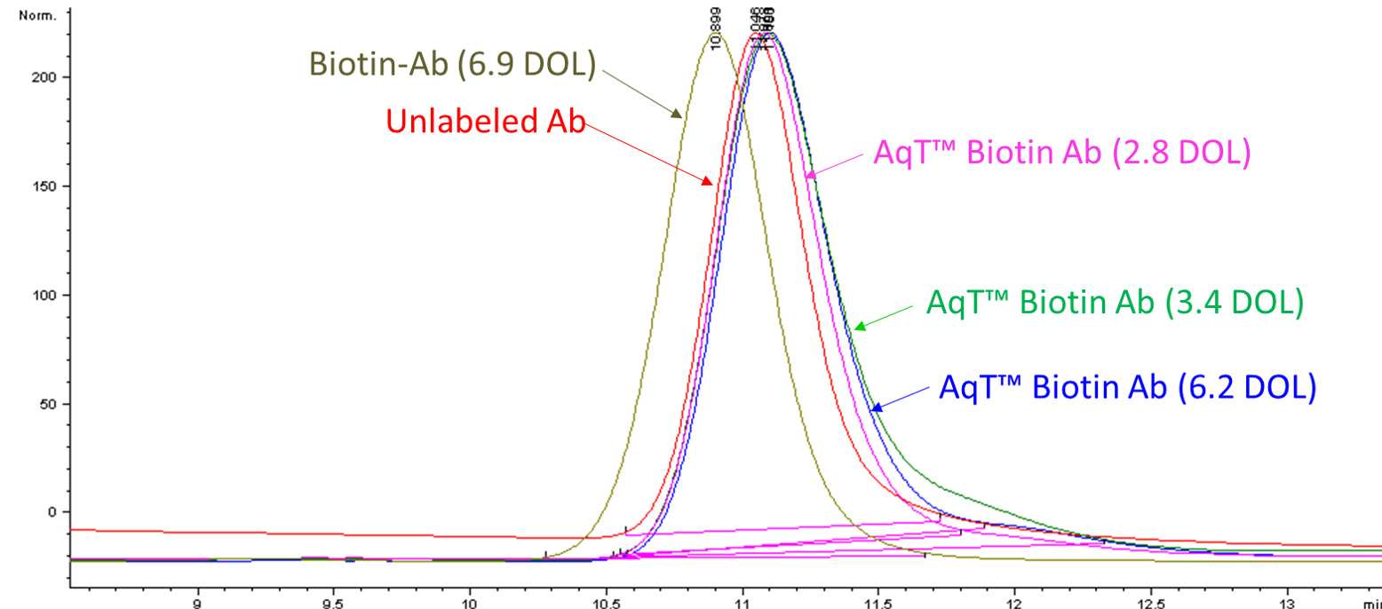 Overlayed SEC HPLC profile comparing the apparent MW (hydrodynamic volume) of AqT™ biotin-T2A15 labeled antibody with unmodified biotin labeled antibody