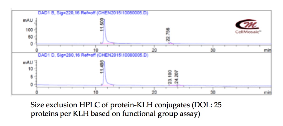 Size Exclusion HPLC og Protein-KLH conjugate (DOL:25 Proteins per KLH based on functional group assay)