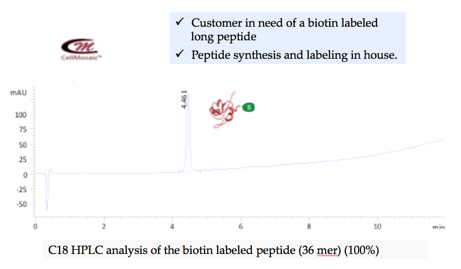 Biotin labeling of a peptide on solid phase peptide synthesis at CellMosaic (shown below): over 99.9% pure by HPLC.