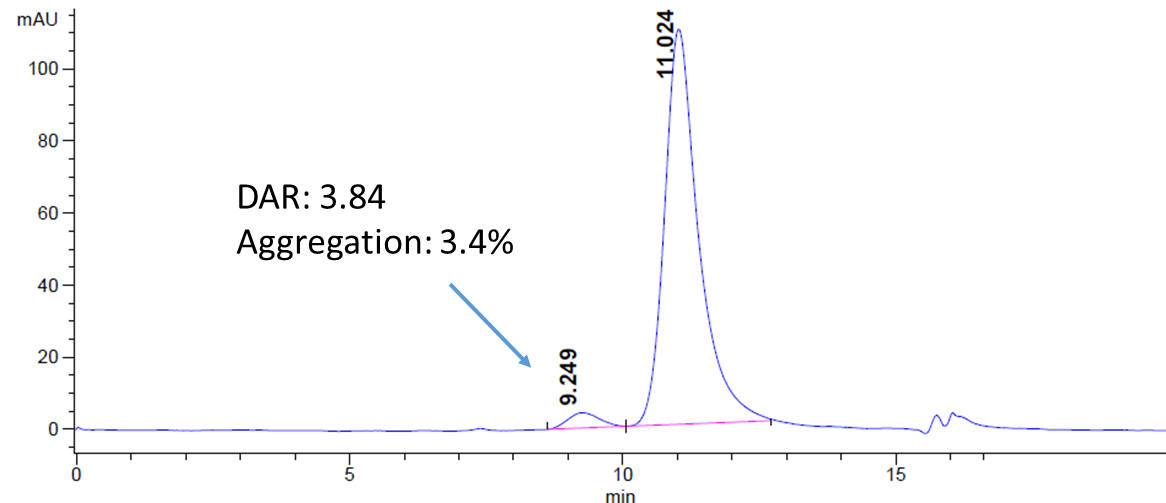 CM1407 SEC HPLC Analysis of purified methotrexate ADC with DAR of 3.84