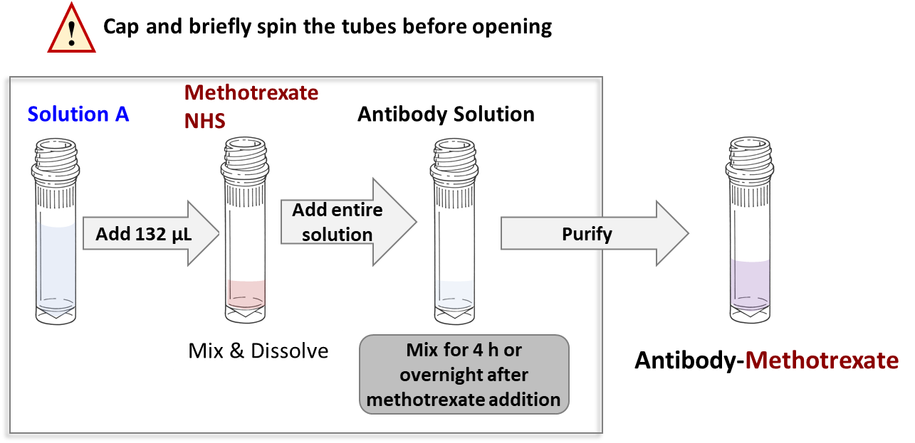 cm11407 Antibody Methotrexate Conjugation Protocol Schematic Diagram