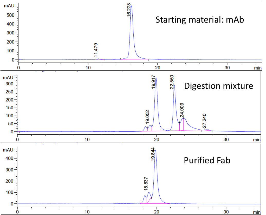 CM51407 SEC HPLC analysis of a mouse IgG1, crude digestion mixture of the IgG1, and purified Fab (UV at 220 nm)
