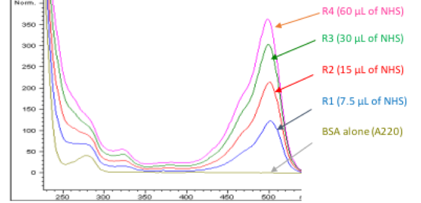 CM52408 example fluorescein labeling of protein: UV/Vis spectrum of the purified fluorescein labeled BSA from Step D6 using various amounts of Fluorescein NHS ester. 