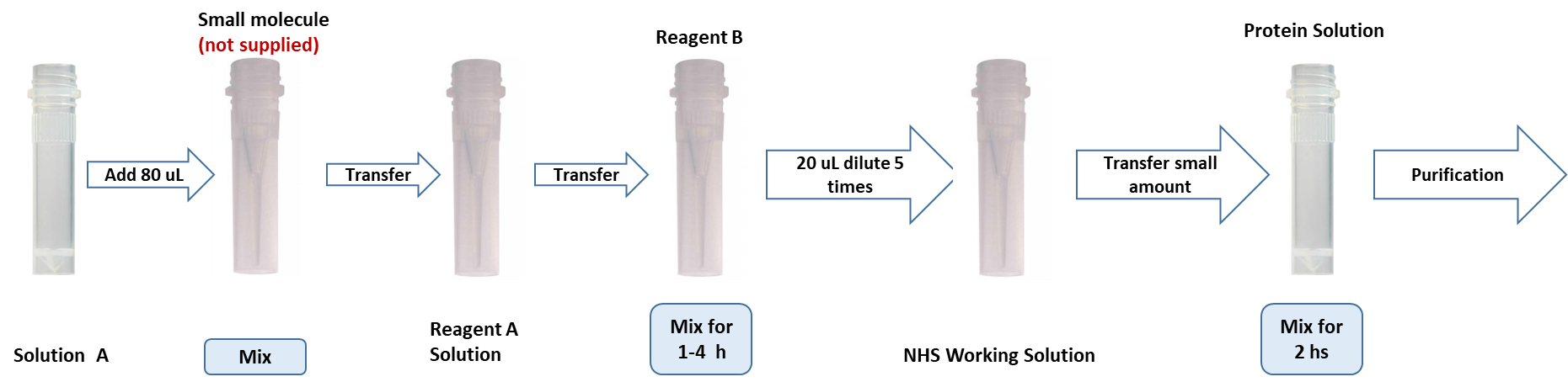 Reaction Scheme/workflow diagram for generating ova-small molecule acid conjugates using CM52419