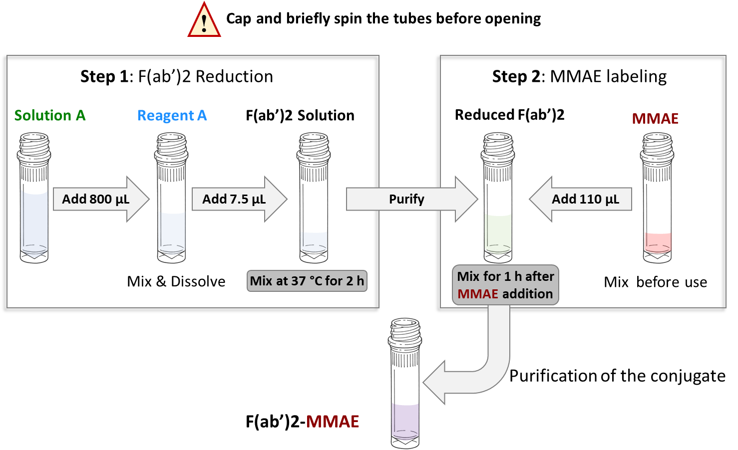 CM11416 F(ab')2 MMAE Conjugation Kit (With VC-PAB Linkage) protocol schematic diagram