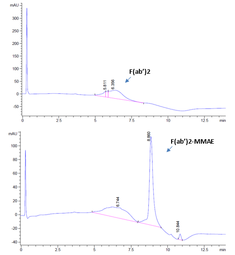 HIC HPLC analysis of F(ab')2 (top) and purified F(ab')2-MMAE conjugates (bottom) with UV at 205 nm.