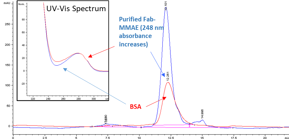 SEC HPLC analysis of Fab (blue trace) and purified Fab-MMAE conjugates (red trace). Inset UV Vis Spectrum of Fab (red trace) and purified Fab-MMAE conjugates (blue trace).