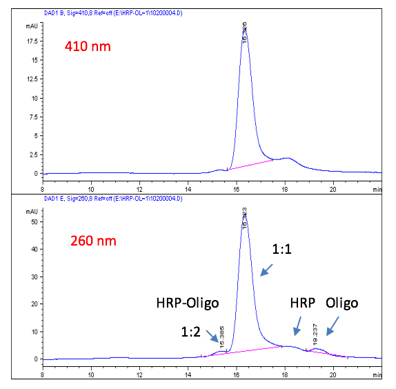 Size exclusion chromatography (SEC) HPLC analysis of first elution (E1) from Column Q (after purification).