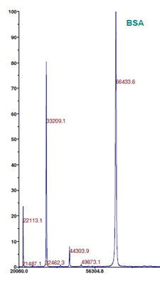 MALDI-TOF intact protein MS analysis of BSA