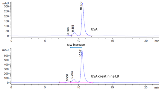 SEC HPLC analysis of unlabeled BSA (top) and BSA creatinine L8 conjugate (bottom, elute earlier. Lot#:s6.0809. Number of Creatinine molecules: 5.7)