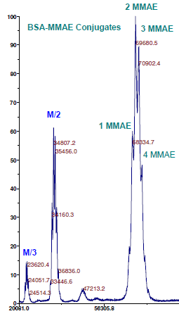 MALDI-TOF MS analysis of purified BSA-MMAE conjugates