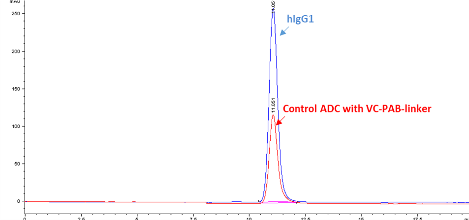SEC HPLC analysis of IgG1 (blue trace) and purified IgG1 labeled with VC-PAB linker (red trace).