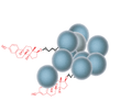 SepSphere™ Small Molecule Amine Immobilization Kit via Carboxylic Acid