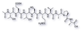 Rhodopsin Nonapeptide (C1'-C9')