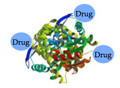 Protein-Drug Conjugate