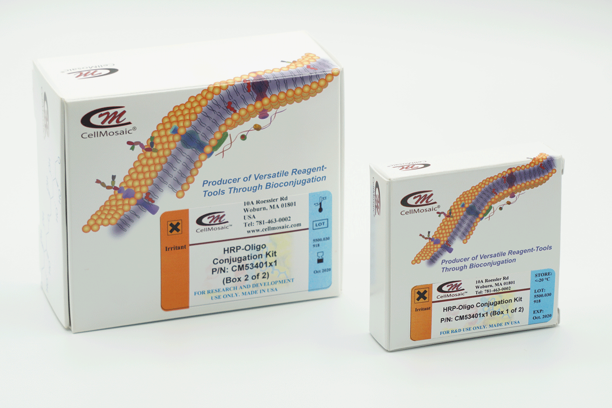 HRP-oligo Cojugation Kits