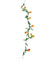 65" Pomegranate Garland (A1138)