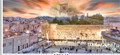 Moshiach-Night- 20" x 40" - Frame (J886)
