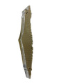 Isreal Shaped Lucite Mezuzah Case 8" Case (Fits 12cm Scroll) (MZ-OJ5357)