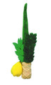 Soft Lulav And Etrog For Kids (LT-SL)