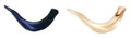 Real Looking Plastic Shofar (SH-SHPL)