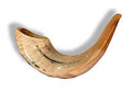 Shofar (Ram Horn) Select Size (SH-SH)